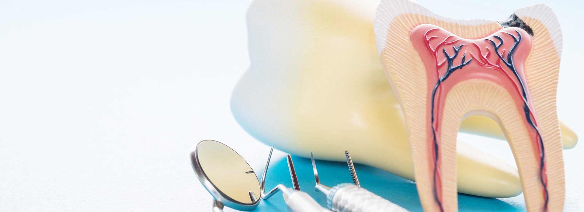 The image features a dental model with an open mouth, displaying a toothbrush and toothpaste, set against a blue background with a white spot.